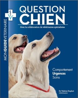 Question chien comportement urgences soins